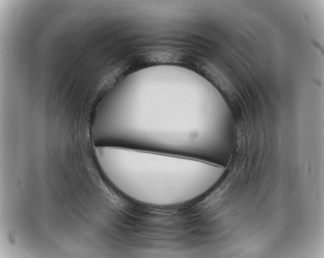 X0000099310453200805020735