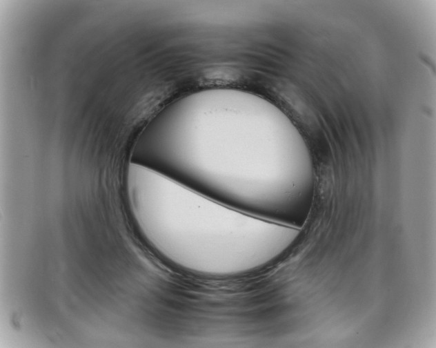 X0000099310455200805020735