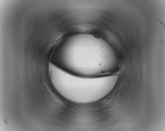 X0000099310456200805020735