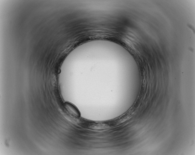 X0000099310459200805020735