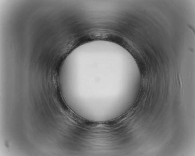 X0000099310460200805020735