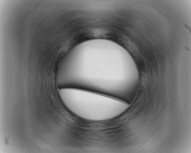 X0000099310461200805020735