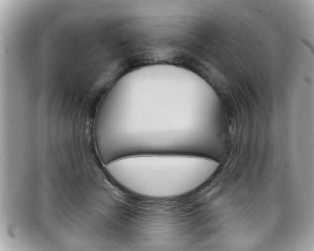 X0000099310462200805020735