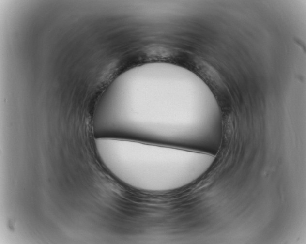X0000099310463200805020735