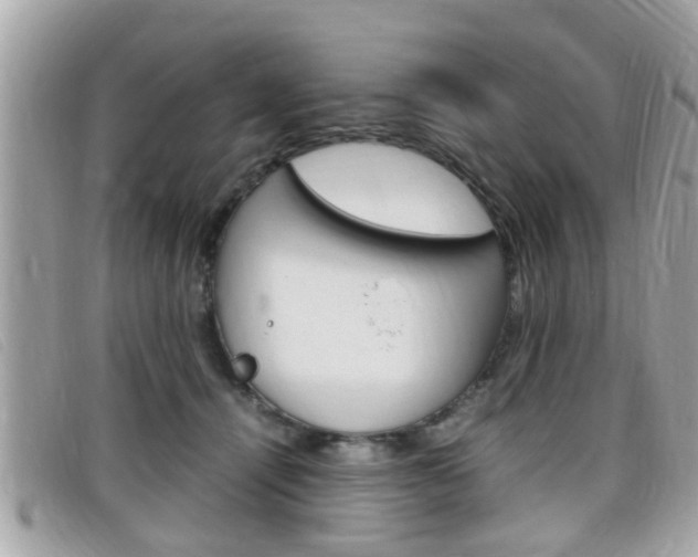 X0000099310464200805020736