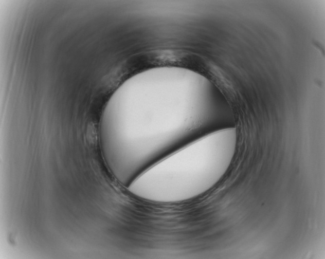 X0000099310467200805020736