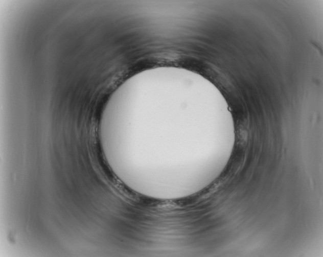 X0000099310468200805020736
