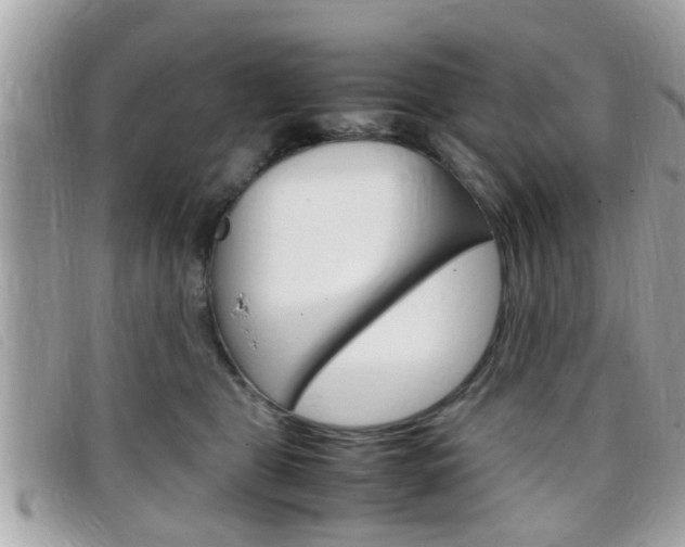 X0000099310469200805020736