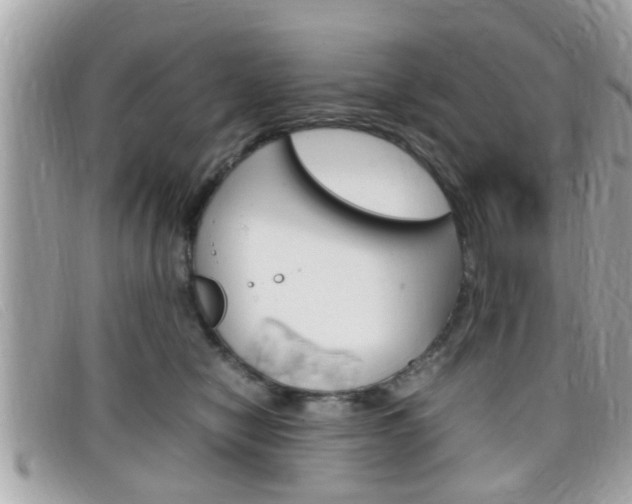 X0000099310470200805020736