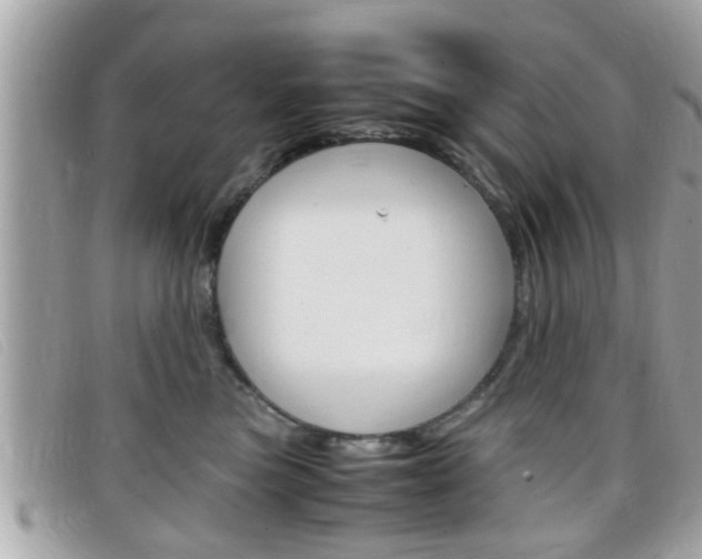 X0000099310473200805020736