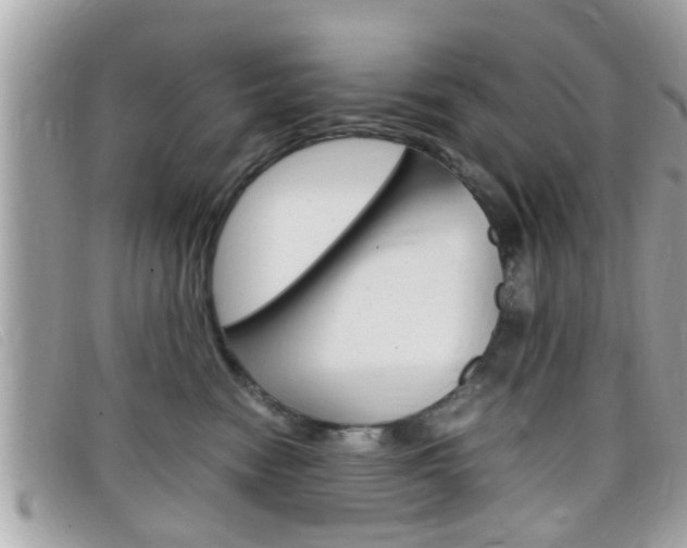 X0000099310474200805020736