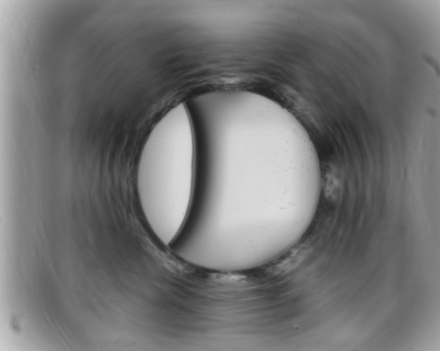X0000099310476200805020736