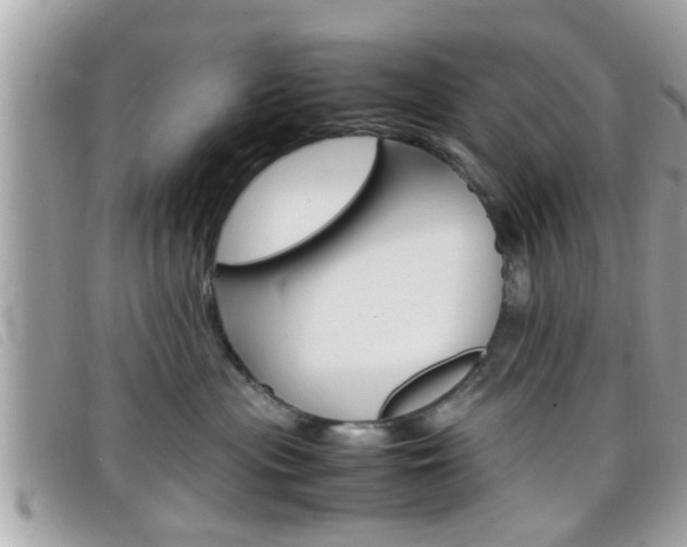 X0000099310477200805020736