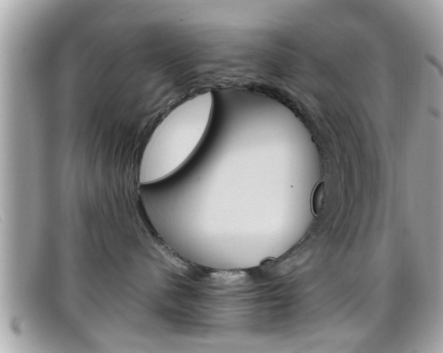 X0000099310480200805020736