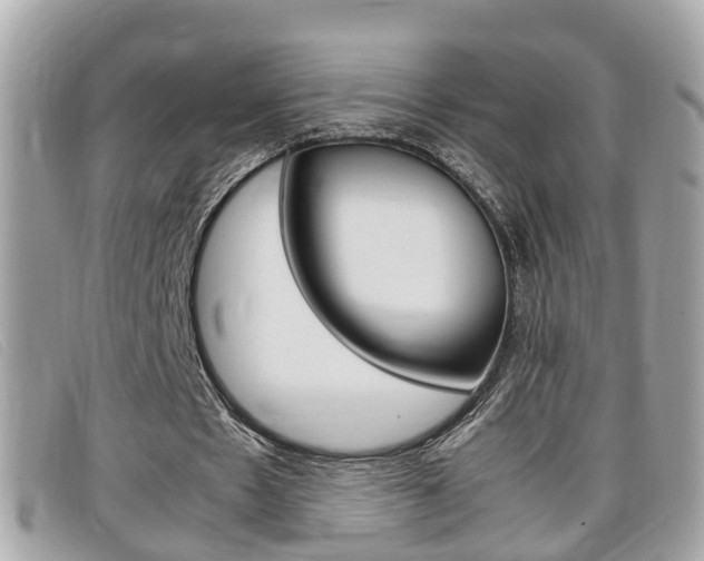 X0000099310481200805020735