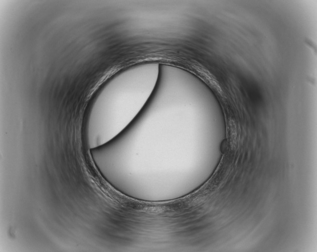 X0000099310482200805020735