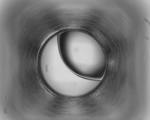 X0000099310484200805020735