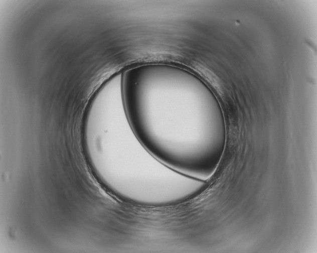 X0000099310485200805020735