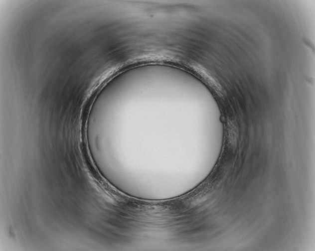 X0000099310486200805020735