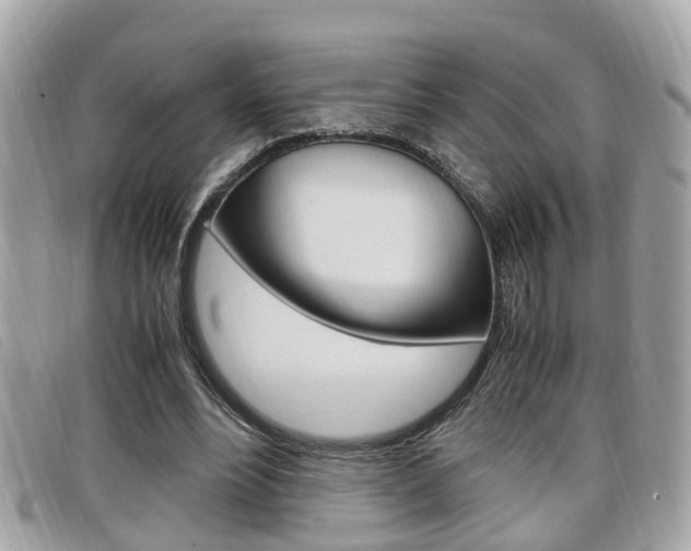 X0000099310488200805020735