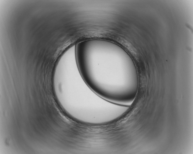 X0000099310489200805020735