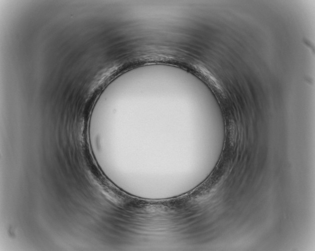 X0000099310490200805020735