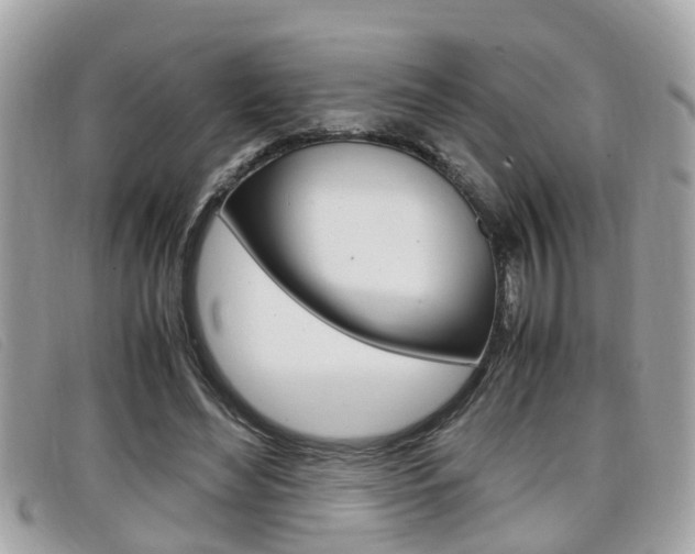 X0000099310492200805020735