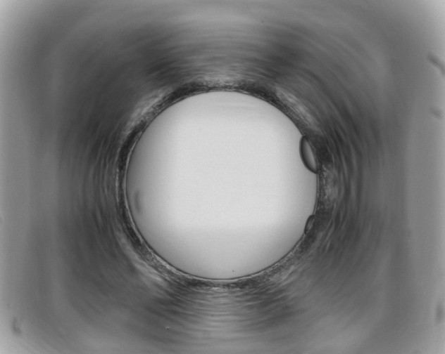 X0000099310494200805020735