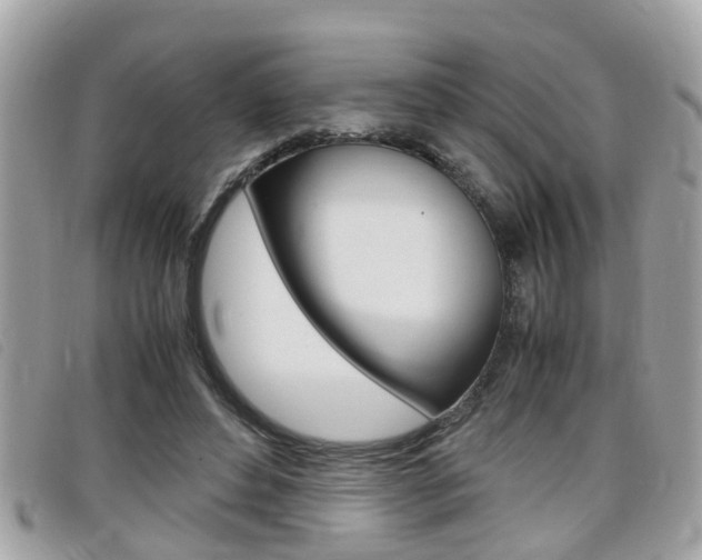 X0000099310496200805020735