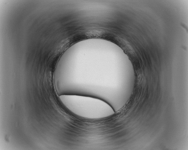 X0000099310498200805020735