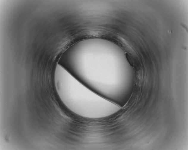 X0000099310500200805020735