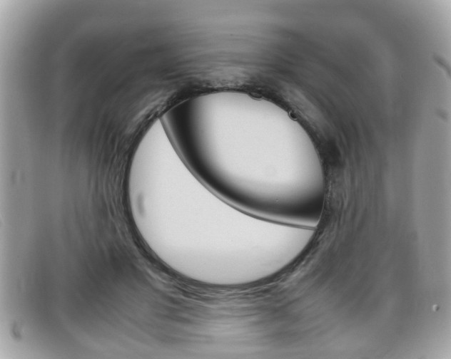 X0000099310501200805020735