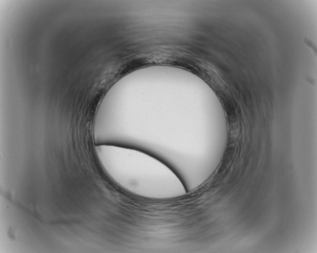 X0000099310503200805020735