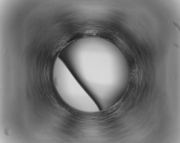 X0000099310504200805020735