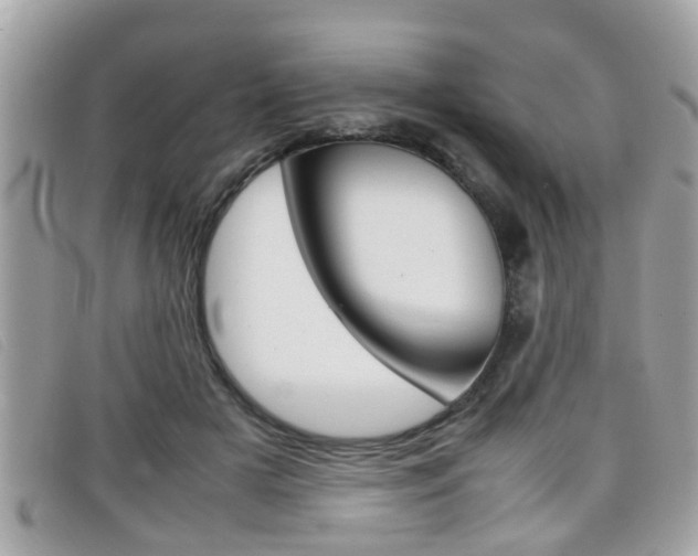 X0000099310505200805020735