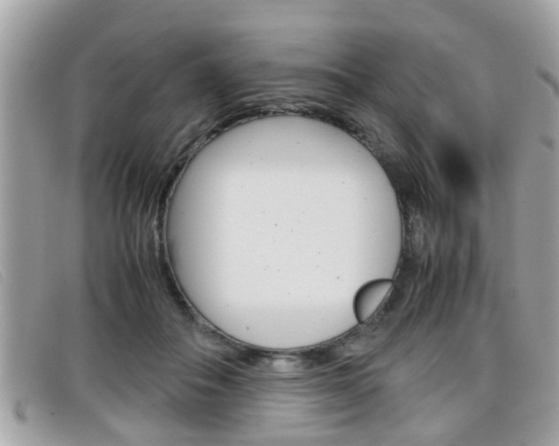 X0000099310506200805020735