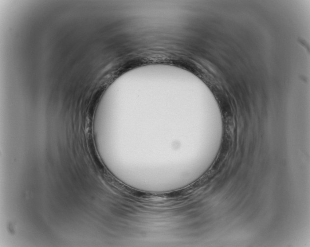 X0000099310507200805020735