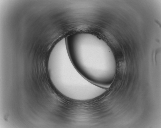 X0000099310508200805020735