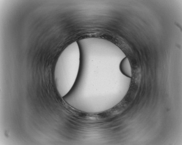 X0000099310510200805020735