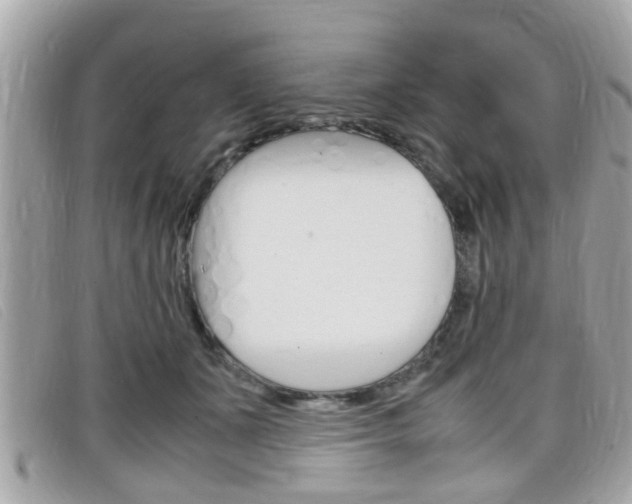 X0000099310511200805020735