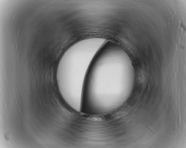 X0000099310512200805020735