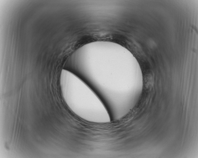 X0000099310515200805020735