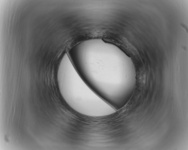 X0000099310516200805020735