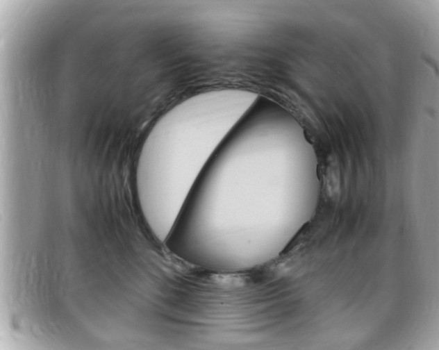 X0000099310520200805020735