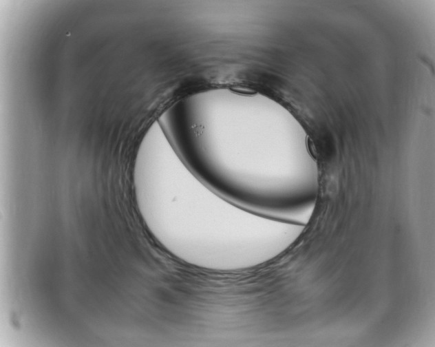 X0000099310521200805020735