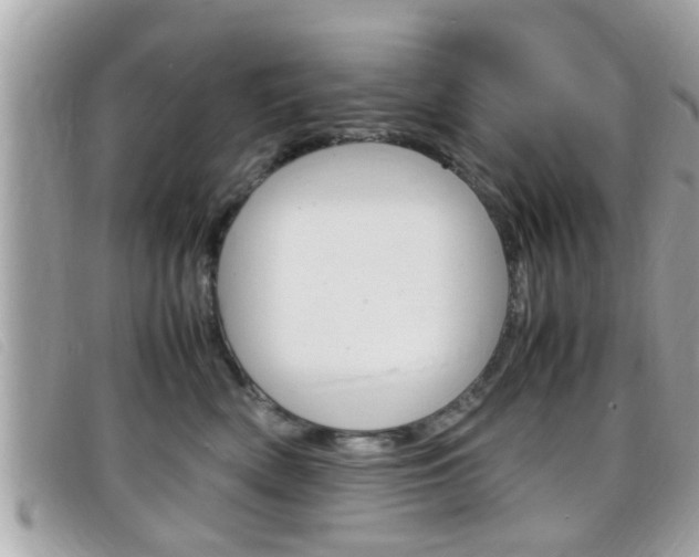 X0000099310522200805020734