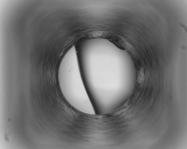 X0000099310524200805020734
