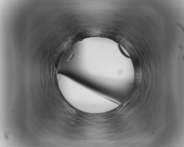 X0000099310525200805020734