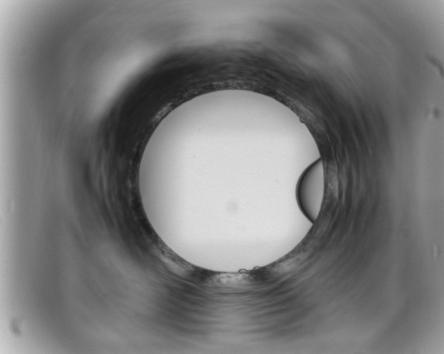 X0000099310526200805020734