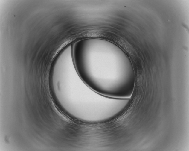 X0000099310530200805020734